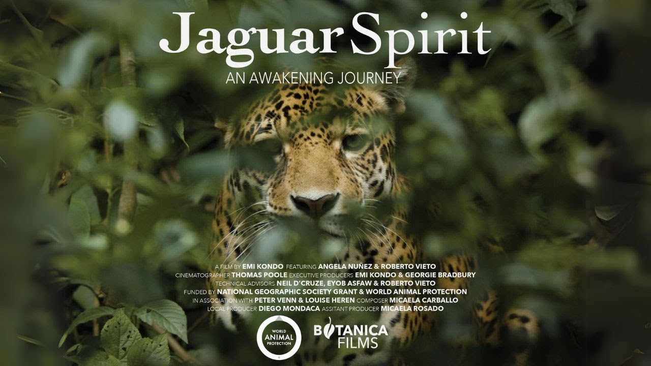 Jaguar Spirit Micaela Carballo
