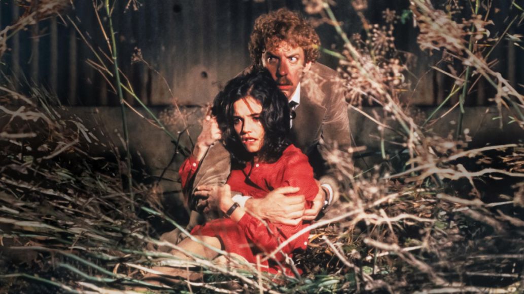 Invasion of the Body Snatchers 1978