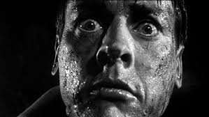 Invasion of the Body Snatchers 1956
