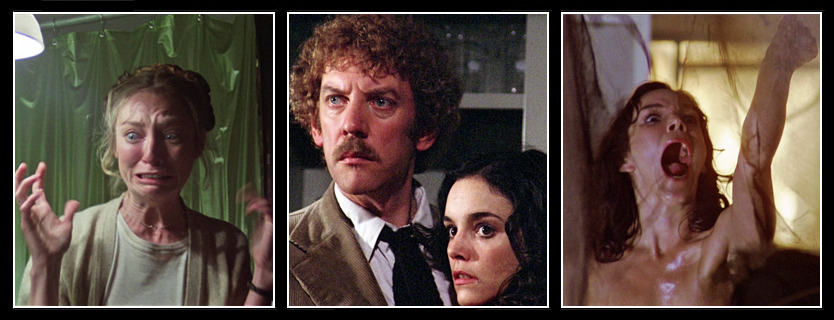 Invasion of the Body Snatchers 1978