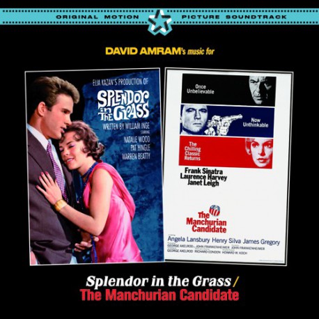 David Amram biografía