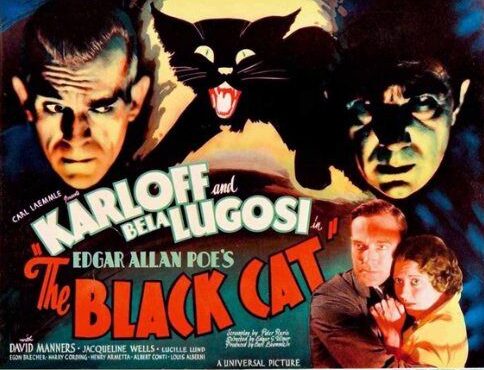 The Black Cat 194